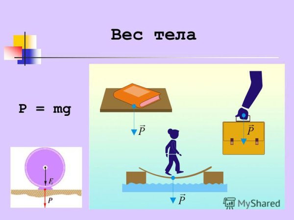 Вес тела рисунок физика 7 класс