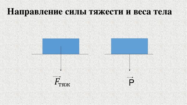 Точки приложения силы тяжести и веса тела