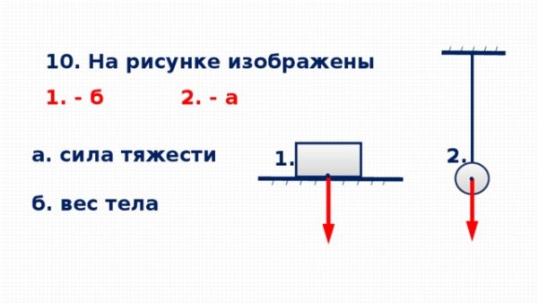 Сила тяжести и упругости на схеме