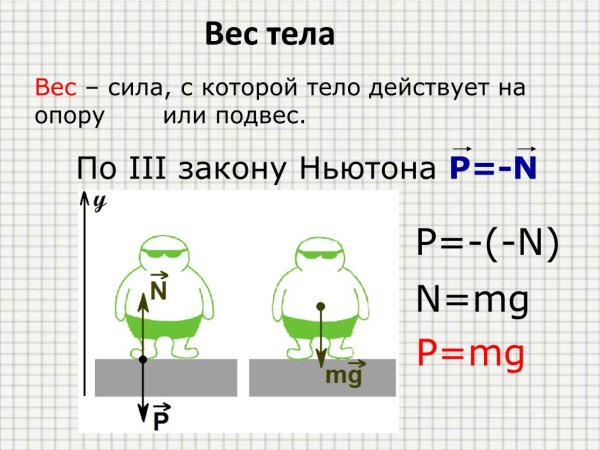 Масса и вес тела физика 7 класс