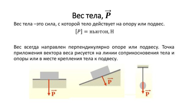 Сила упругости опоры рисунок