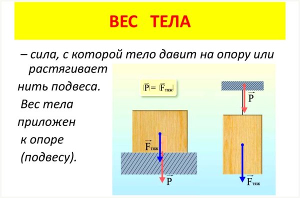 Связь между силой тяжести и массой тела вес тела 7 класс