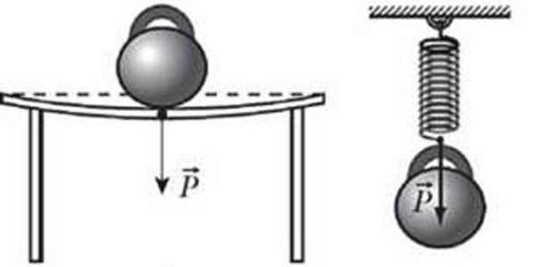 Вес тела примеры