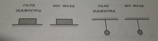Точки приложения силы тяжести и веса тела