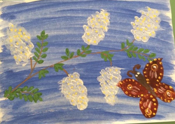 Черемуха рисунок