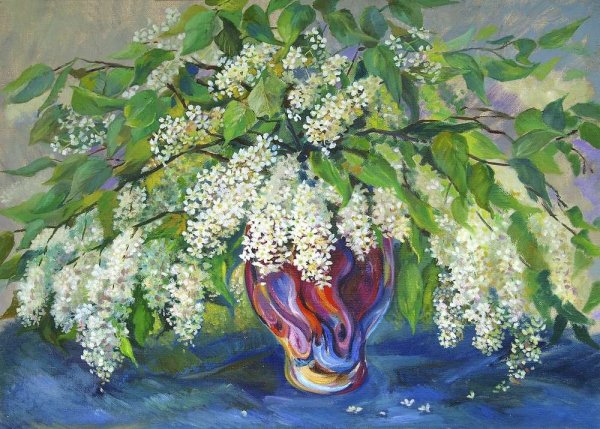 Черемуха обыкновенная Ботаническая карточка