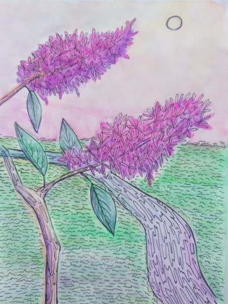 Букет черемухи живопись