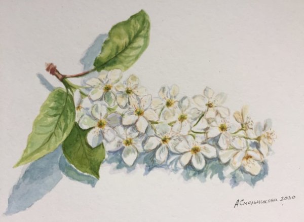 Картина Есенина черемуха