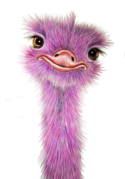 Страус для детей