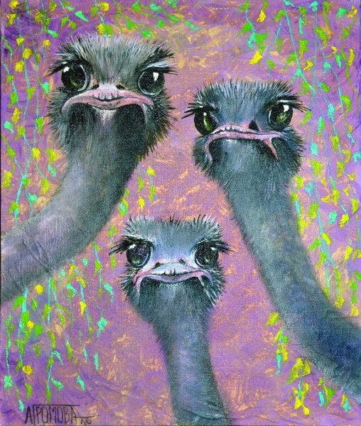 Страус раскраска для детей