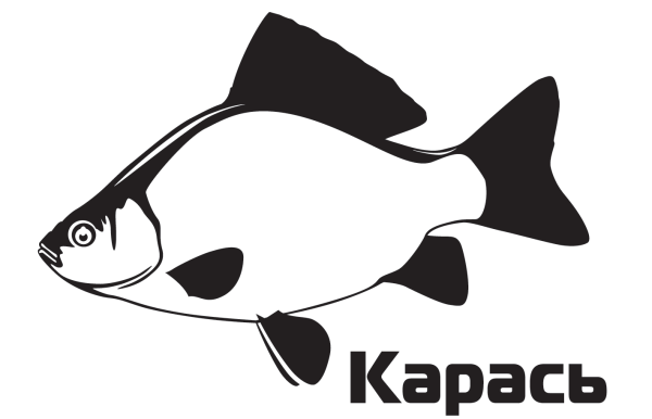 Карась вектор