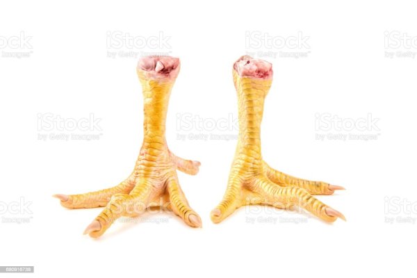 Куриная лапка на белом фоне