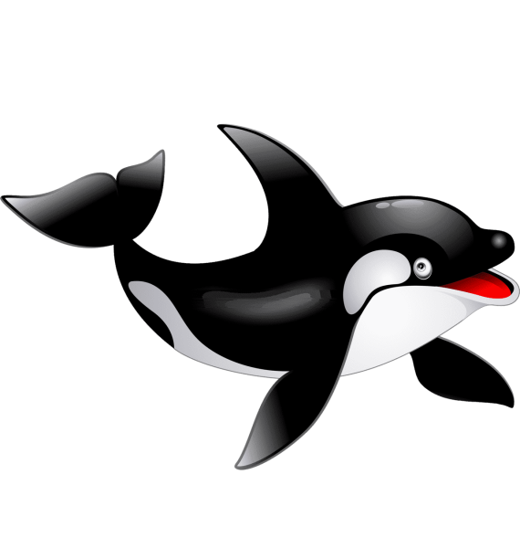 Касатка для детей