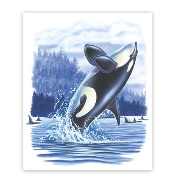 Касатка для детей