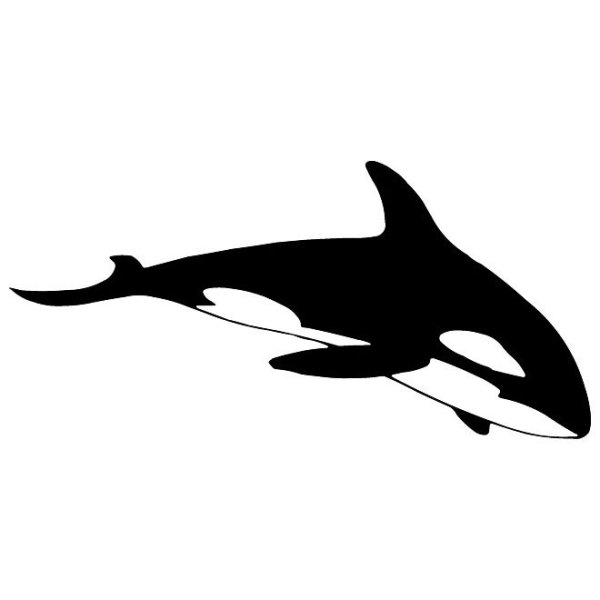 Касатка черно белая