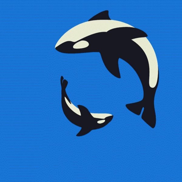 Касатка силуэт