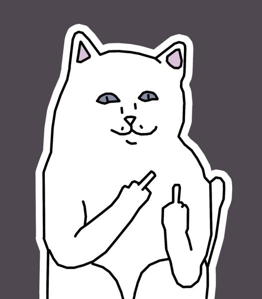 Кот со средним пальцем