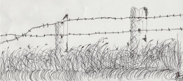 Колючая проволока для рисования
