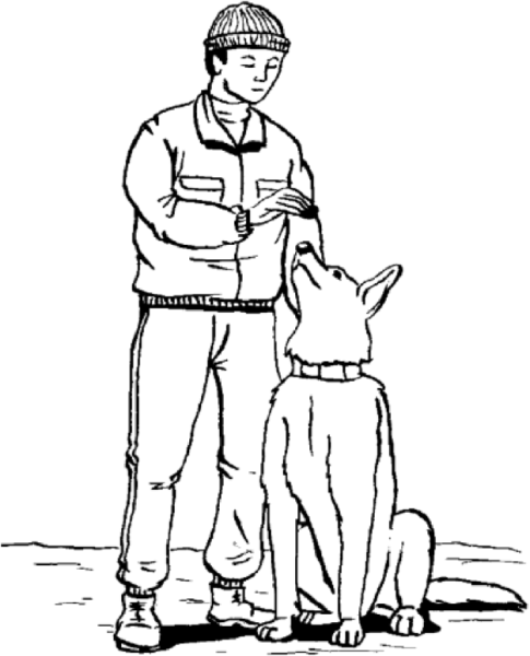 Раскраска Военная собака
