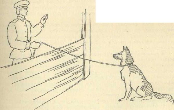 Кинолог с собакой рисунок