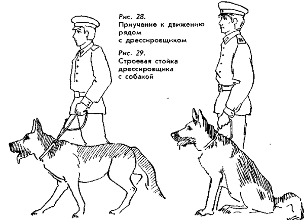 Раскраска пограничник