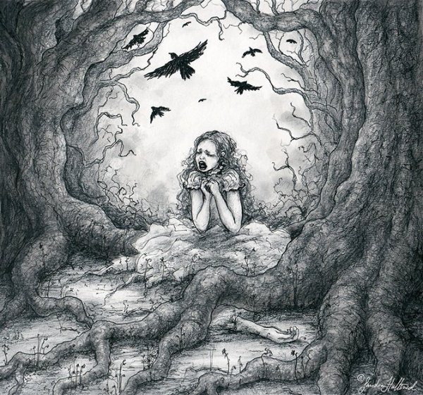 Духи леса Энди Кехо