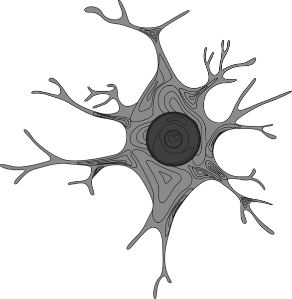 Нервная клетка