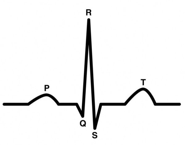 Комплекс QRS на ЭКГ норма