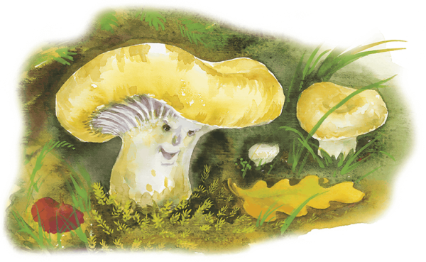 Маска гриб волнушка