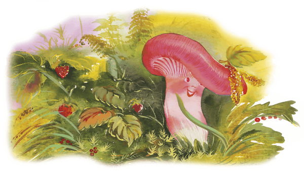 Шляпочные грибы сыроежка