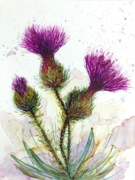 Чертополох акварель