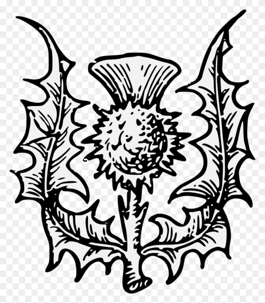 Чертополох в геральдике