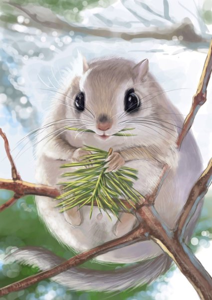 Белка летяга Момонга