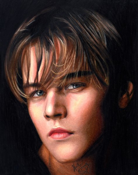 Реалистичные рисунки художницы Heather Rooney