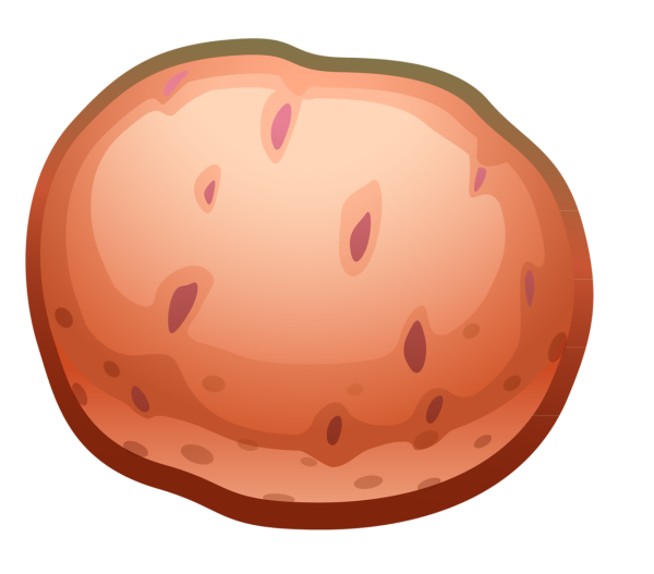 Картошка для детей