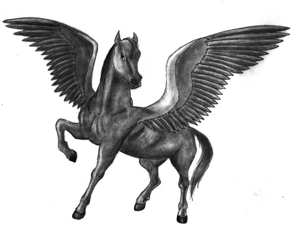 Пегас карандашом