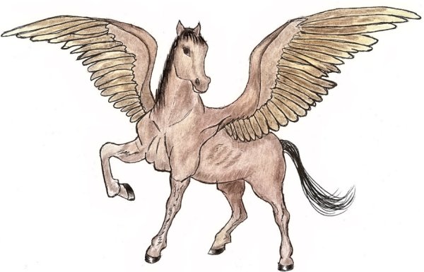 Пегас для рисования