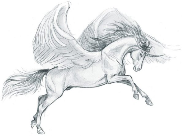Пегас карандашом