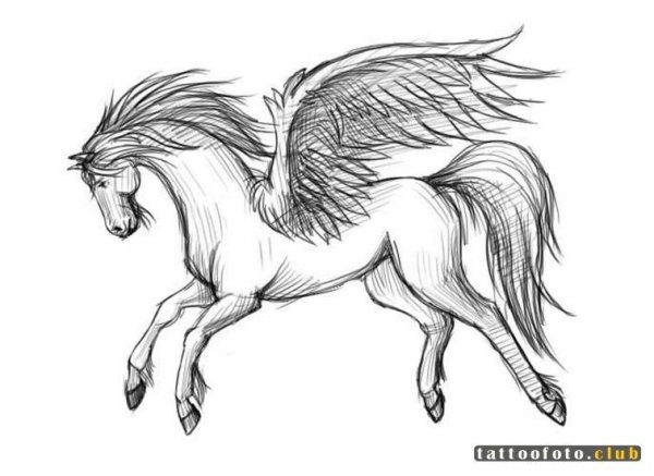 Рисунки пегасов карандашом