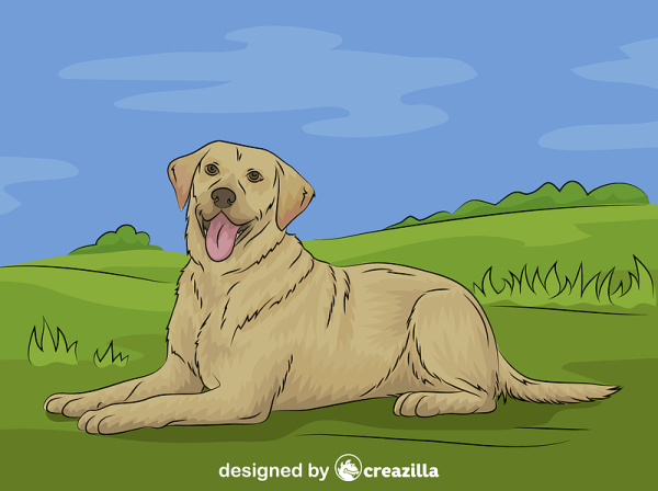 Лабрадор мультяшный