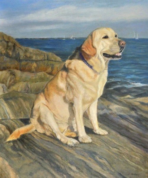 Лабрадор ретривер акварель