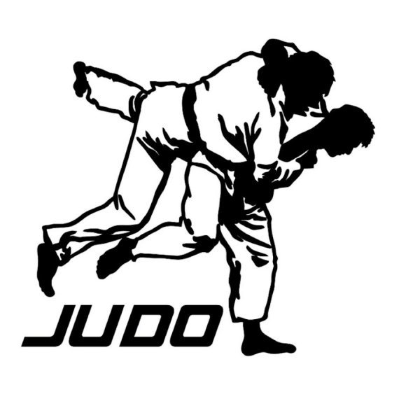 Самбо силуэт