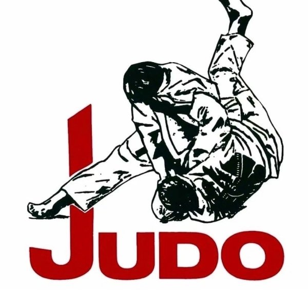 Символ дзюдо