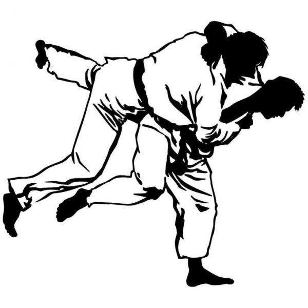 Джиу джитсу бросок