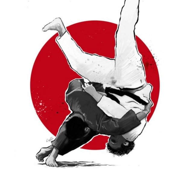 Дзюдо картина