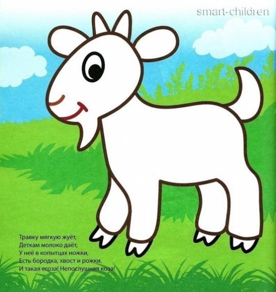 Храбрый козленок бабана