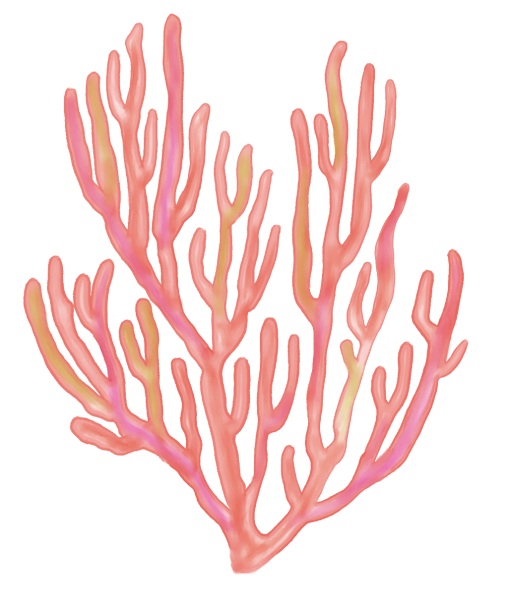 Стилизованные кораллы