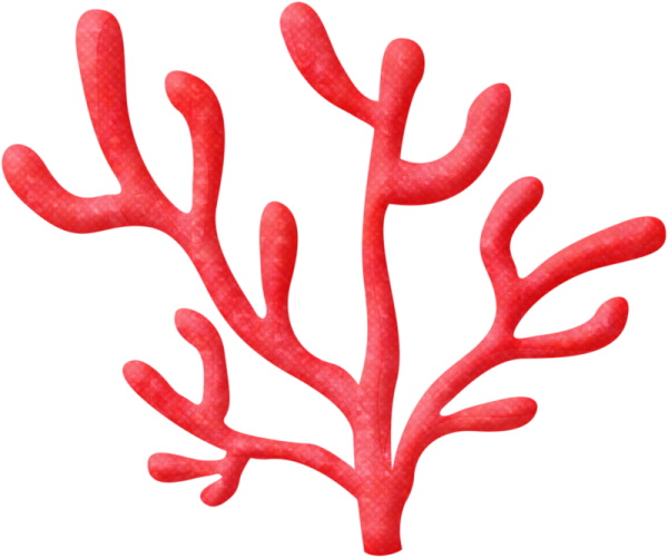 Кораллы для рисования
