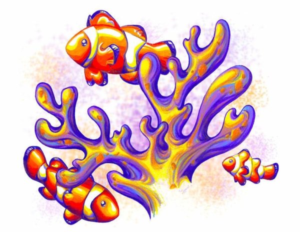 Кораллы для детей