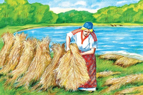 Лен обыкновенный Фармакогнозия